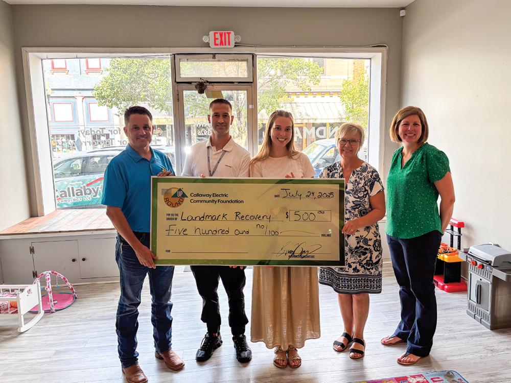 Landmark Recovery, check presentation